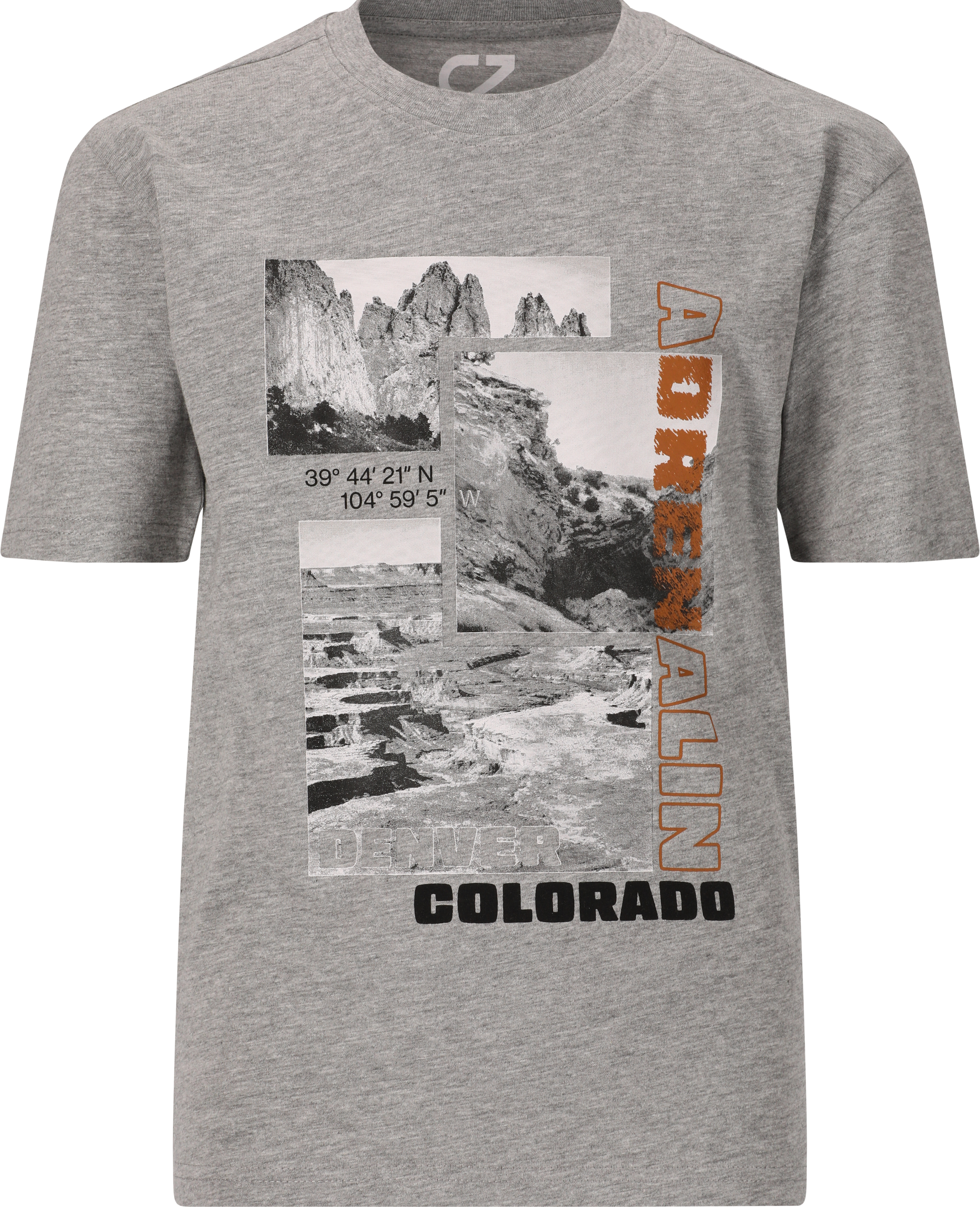 CR251745_1005_100